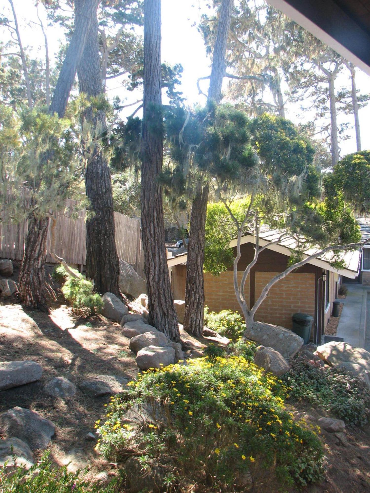 Lighthouse Lodge & Cottages Pacific Grove Kültér fotó